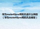华为mate40pro耳机孔是什么样的（华为mate40pro耳机孔在哪里）