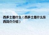 西多士是什么（西多士是什么东西简介介绍）