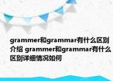 grammer和grammar有什么区别介绍 grammer和grammar有什么区别详细情况如何