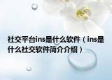 社交平台ins是什么软件（ins是什么社交软件简介介绍）