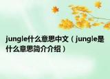 jungle什么意思中文（jungle是什么意思简介介绍）