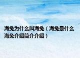 海兔为什么叫海兔（海兔是什么 海兔介绍简介介绍）