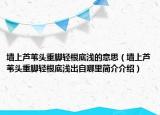 墙上芦苇头重脚轻根底浅的意思（墙上芦苇头重脚轻根底浅出自哪里简介介绍）