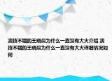 演技不错的王晓晨为什么一直没有大火介绍 演技不错的王晓晨为什么一直没有大火详细情况如何