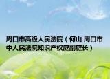 周口市高级人民法院（何山 周口市中人民法院知识产权庭副庭长）