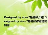 Designed by vivo ?是哪款介绍 Designed by vivo ?是哪款详细情况如何