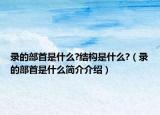 录的部首是什么?结构是什么?（录的部首是什么简介介绍）
