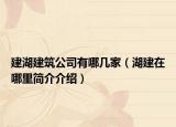 建湖建筑公司有哪几家（湖建在哪里简介介绍）