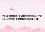 小时不识月呼作白玉盘的是什么诗（小时不识月呼作白玉盘是哪首诗简介介绍）