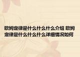 欧姆定律是什么什么什么介绍 欧姆定律是什么什么什么详细情况如何