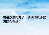 食谱沙漠肉丸子（沙漠肉丸子配方简介介绍）