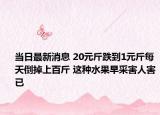 当日最新消息 20元斤跌到1元斤每天倒掉上百斤 这种水果早采害人害已