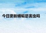 今日更新蜻蜓是害虫吗