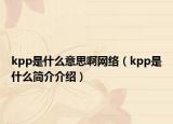 kpp是什么意思啊网络（kpp是什么简介介绍）