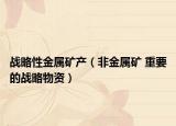 战略性金属矿产（非金属矿 重要的战略物资）