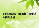 qq农场攻略（qq农场在哪里进入简介介绍）