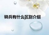 骑兵有什么区别介绍