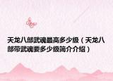 天龙八部武魂最高多少级（天龙八部带武魂要多少级简介介绍）