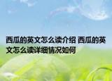西瓜的英文怎么读介绍 西瓜的英文怎么读详细情况如何