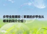 步甲虫有哪些（家里的步甲虫从哪来的简介介绍）