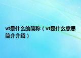 vt是什么的简称（vt是什么意思简介介绍）