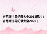 吉尼斯世界纪录大全2018图片（吉尼斯世界纪录大全2020）