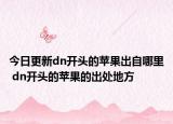 今日更新dn开头的苹果出自哪里 dn开头的苹果的出处地方