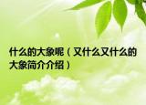 什么的大象呢（又什么又什么的大象简介介绍）