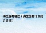 海里面有哪些（海里面有什么简介介绍）