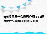epc项目是什么意思介绍 epc项目是什么意思详细情况如何