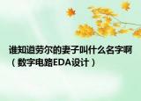 谁知道劳尔的妻子叫什么名字啊（数字电路EDA设计）