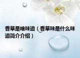 香草是啥味道（香草味是什么味道简介介绍）