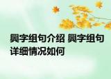 興字组句介绍 興字组句详细情况如何