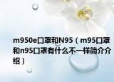 m950e口罩和N95（m95口罩和n95口罩有什么不一样简介介绍）