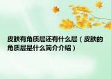 皮肤有角质层还有什么层（皮肤的角质层是什么简介介绍）