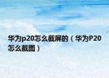 华为p20怎么截屏的（华为P20怎么截图）