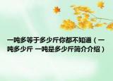 一吨多等于多少斤你都不知道（一吨多少斤 一吨是多少斤简介介绍）