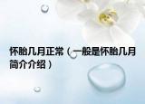 怀胎几月正常（一般是怀胎几月简介介绍）