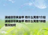 满城尽带黄金甲 有什么寓意?介绍 满城尽带黄金甲 有什么寓意?详细情况如何