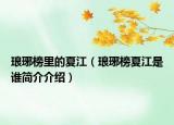 琅琊榜里的夏江（琅琊榜夏江是谁简介介绍）