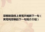 翠柳新栽枝上黄莺声婉转下一句（黄莺鸣翠柳的下一句简介介绍）