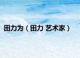 田力为（田力 艺术家）