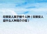 印第安人属于哪个人种（印第安人是什么人种简介介绍）