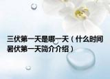 三伏第一天是哪一天（什么时间暑伏第一天简介介绍）