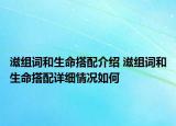 滋组词和生命搭配介绍 滋组词和生命搭配详细情况如何