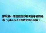 鑻规灉xr璁剧疆鏇存柊1鎬庝箞鍘绘帀（iphoneXR设置更新1去掉）