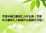 万里长城江最终汇入什么海（万里长江最终汇入的是什么海简介介绍）