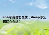 sheep英语怎么读（sheep怎么读简介介绍）