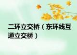 二环立交桥（东环线互通立交桥）