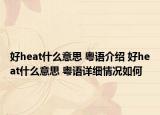好heat什么意思 粤语介绍 好heat什么意思 粤语详细情况如何